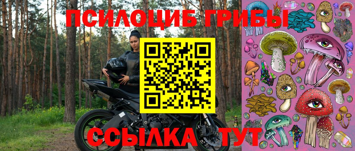 Псилоцибиновые грибы мицелий Уварово